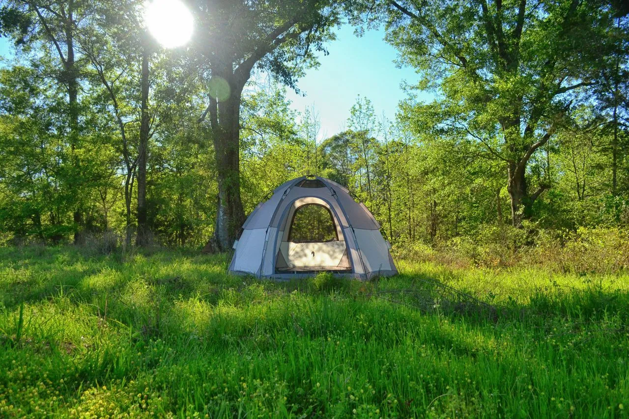 Catoma Eagle Speed Dome Shelter Tent 4 Person