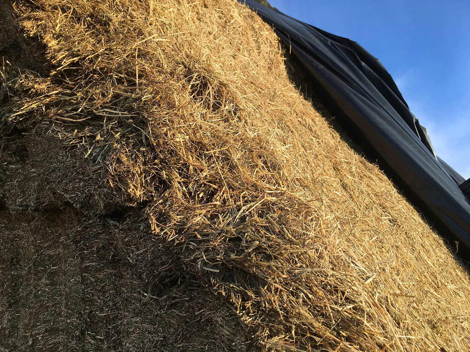 Cropguard Silage Sheet