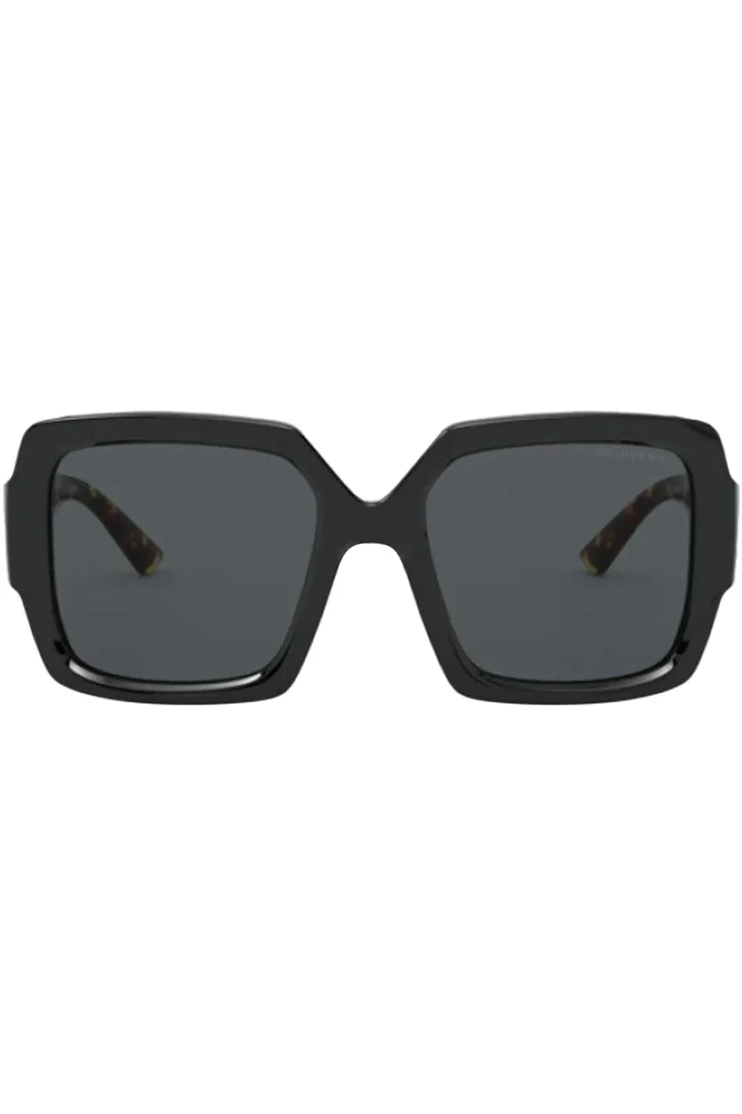 Pillow-Frame Monochrome Logo-Temple Sunglasses